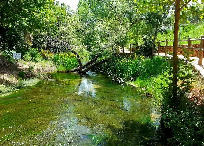 Complejo Ribera De Salobre